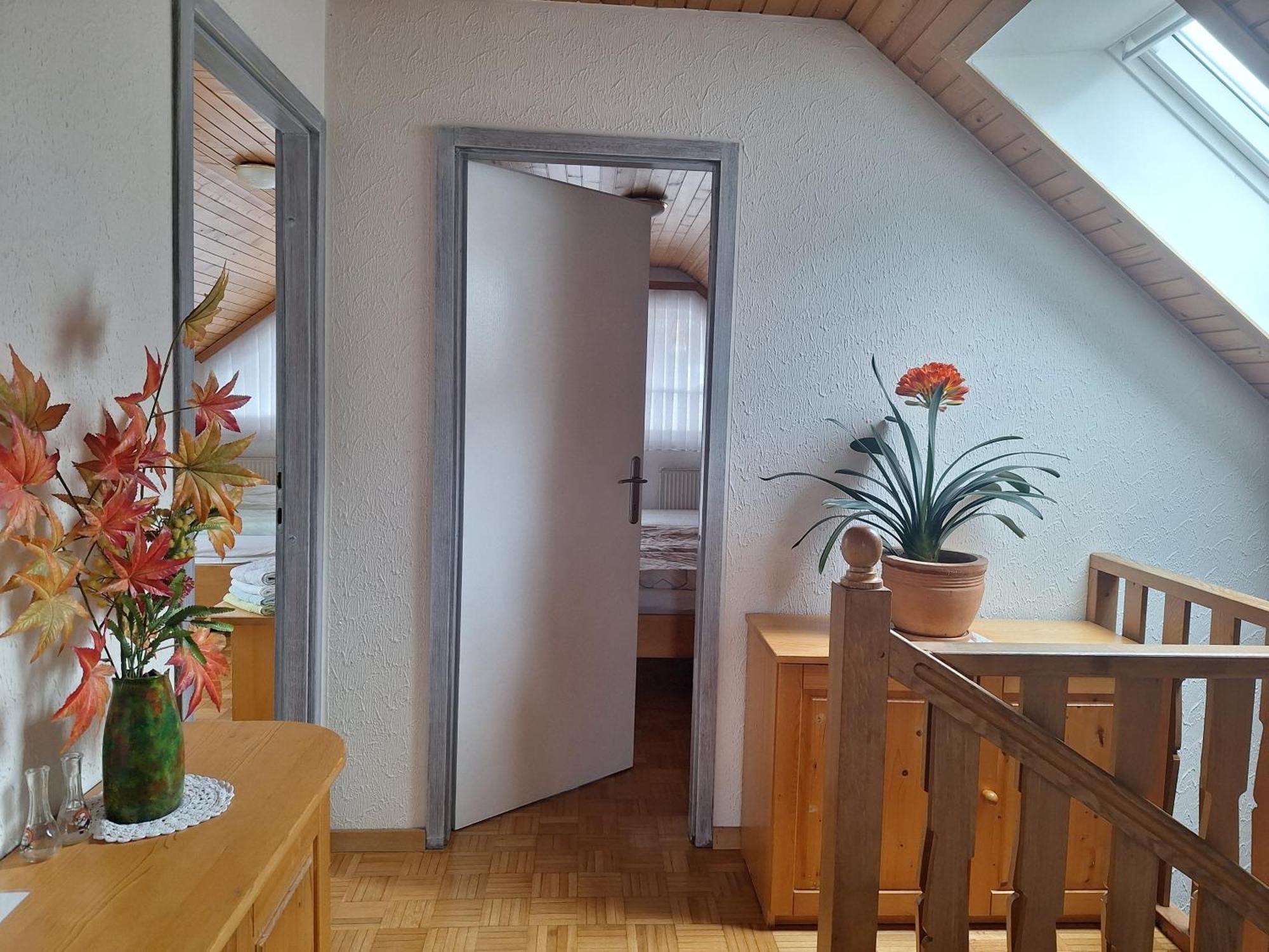 Apartmaji Marinka Hodnik Bohinj Zewnętrze zdjęcie