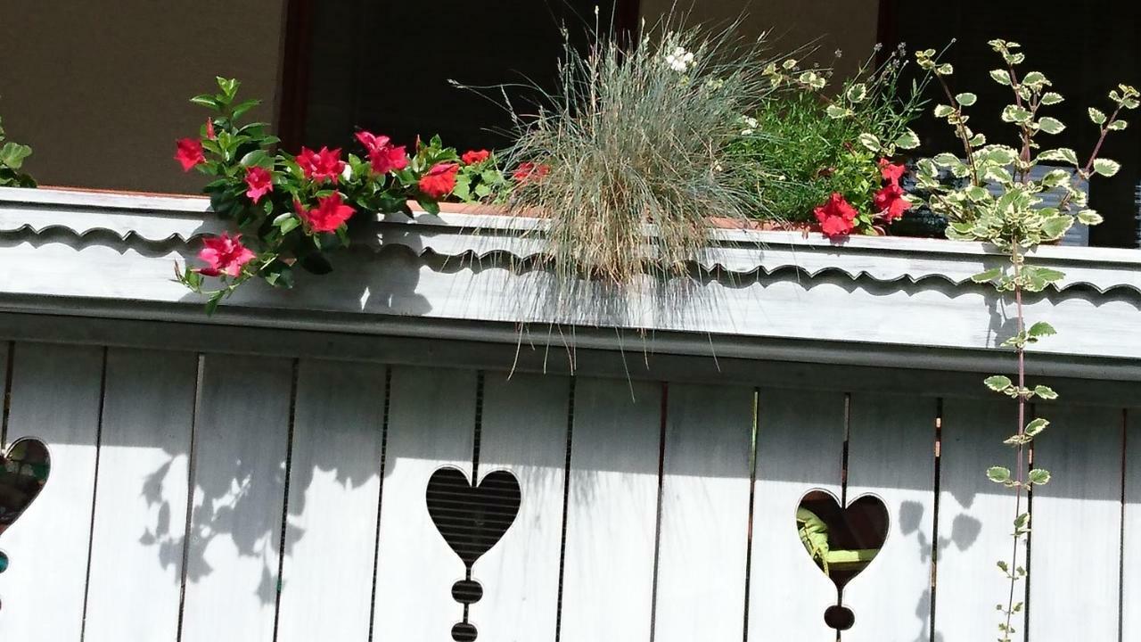 Apartmaji Marinka Hodnik Bohinj Zewnętrze zdjęcie