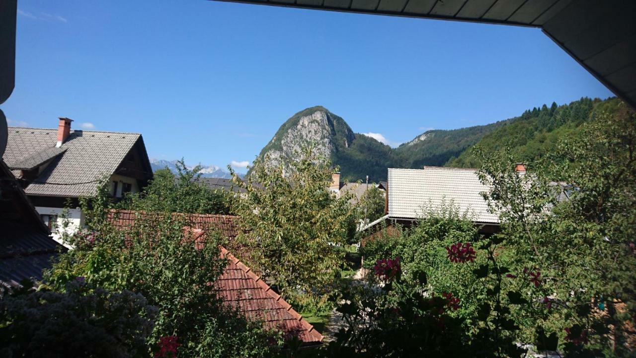 Apartmaji Marinka Hodnik Bohinj Zewnętrze zdjęcie